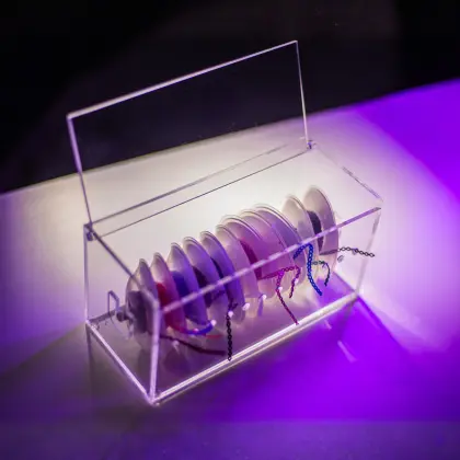 Porta elástico corrente 